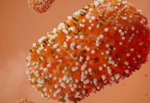 OMS: Anuntul Alarmant cu un Avertisment Important pentru Lumea Intreaga OMS Anuntul Alarmant Avertisment Important Lumea Intreaga