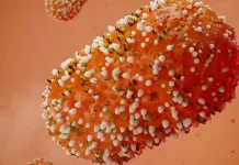 OMS: Anuntul de Ultima Ora cu o Alerta privind Situatia Ingrijoratoare din Lume OMS Anuntul Ultima Ora Alerta Situatia Ingrijoratoare Lume