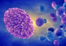 OMS ne Atentioneaza, Cum te Poti Infecta cu Variola Maimutei OMS Atentioneaza Cum Poti Infecta Variola Maimutei