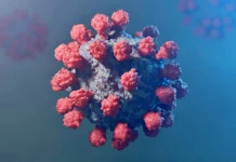 OMS Emite un Serios Semnal de Alarma, ce Ingrijoreaza si ce Pericole Exista OMS Emite Serios Semnal Alarma, ce Ingrijoreaza Pericole Exista