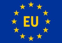 Trei Insecte au fost Autorizate pentru Consum de Comisia Europeana