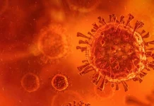 Atentionarea ECDC cu un Ingrijorator Anunt pentru Tarile din Europa Atentionarea ECDC Ingrijorator Anunt Tarile Europa