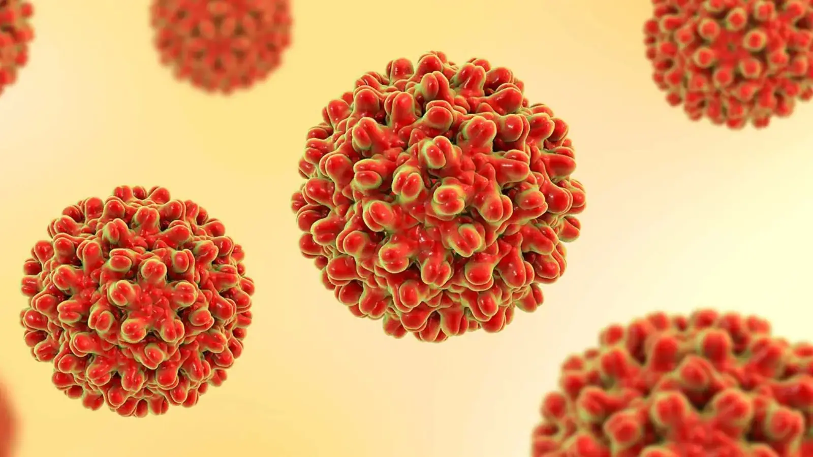 Coronavirus Romania New Official Number of New Cases September 19, 2022