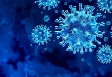 Romanian koronavirus uusien tapausten määrä 16