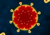 Coronavirus Romania Numarul Nou Oficial Cazurilor Noi 27 Septembrie 2022