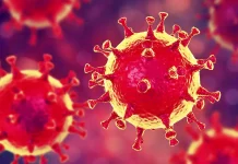 OMS Atentioneaza Toate Tarile, Situatia Ingrijoratoare la Nivel Global OMS Atentioneaza Toate Tarile Situatia Ingrijoratoare Nivel Global