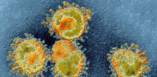 Coronavirus Romania Noul Numar Cazurilor Noi 18 Octombrie 2022