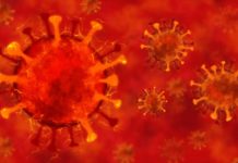 Coronavirus Romania: Noul Numar al Infectarilor Noi din 1 Noiembrie 2022 Coronavirus Romania Noul Numar al Infectarilor Noi din 1 Noiembrie 2022