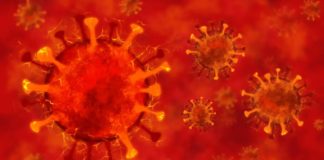 Coronavirus Rumania Nuevo número de nuevos infectados desde el 1 de noviembre de 2022