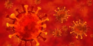 Coronavirus Romania Noul Numar al Infectarilor Noi din 1 Noiembrie 2022