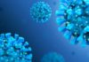 Coronavirus Romania Numarul Nou Cazurilor Noi 7 Octombrie 2022