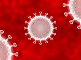 Coronavirus Rumänien Neue Zahl neuer Infizierten ab 10. Oktober 2022