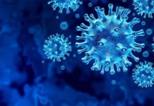 Coronavirus Romania: Numarul Nou al Cazurilor Noi din 21 Noiembrie 2022 Coronavirus Romania Numarul Nou Cazurilor Noi 21 Noiembrie 2022