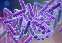 OMS: INGRIJORATOR Avertisment cu un Semnal de Alarma pentru Lume OMS INGRIJORATOR Avertisment Semnal Alarma Lume