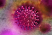 ALERTA a OMS Privind Situatia Periculoasa care Ameninta Toata Lumea in 2023 ALERTA OMS Situatia Periculoasa Ameninta Toata Lumea 2023