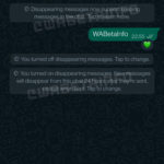 Confirmation des messages manquants sur WhatsApp MAJOR Change iPhone Android