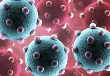 Semnal de ALARMA al ECDC, Anuntul Ingrijorator pentru Toata Europa Semnal ALARMA ECDC Anuntul Ingrijorator Toata Europa