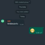 WhatsApp face Secret Schimbare DOREAI iPhone Android poza profil chat