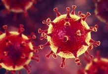 ATENTIONARE Serioasa OMS Ingrijoreaza Oameni Toata Lumea