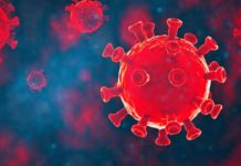 Decizia OMS ULTIMA ORA Masuri Luate Intreaga Lume