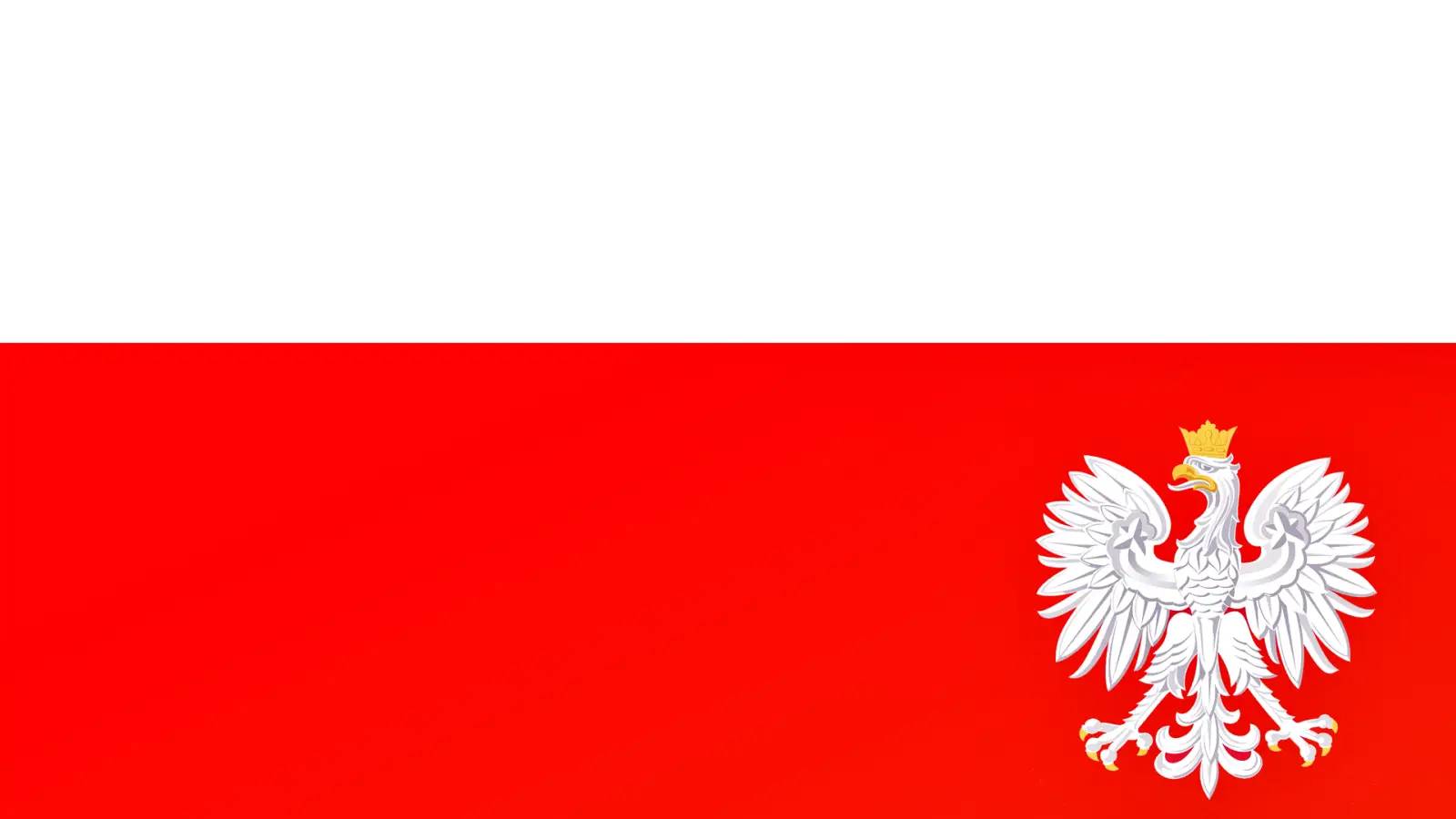 Polonia Intentioneaza sa Trimita Zeci de Tancuri Proprii in Ucraina
