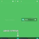 WhatsApp-Sprachnachrichten-Story, Einführung auf iPhone und Android
