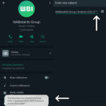 3 YLLITYSTÄ WhatsApp valmisteli SALASTA Android iPhone -aihekuvauksia