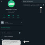 3 SURPRISES WhatsApp préparé des descriptions de sujets SECRET Android iPhone