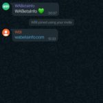 2 SECRETE WhatsApp Dezvaluite Inainte Lansarea iPhone Android poze profil