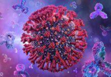 Anunturile OMS ULTIMA ORA Vizeaza Toate Tarile Lumii