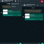Aplicatia WhatsApp SECRET Facuta Schimbare Majora iPhone Android audio chat