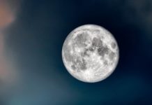 LUNA AJUTA Pamantul Lupta Schimbarile Climatice