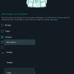 WhatsApp funciona GRAN SECRETO Cambia los tiempos de desaparición de iPhone y Android