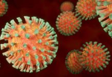 OMS: IMPORTANT Anunt cu o ATENTIONARE Serioasa Transmisa Intregii Lumi OMS IMPORTANT Anunt ATENTIONARE Serioasa Transmisa Intregii Lumi