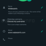 WhatsApp Hotararea IMPORTANTA Schimba FUNDAMENTAL Aplicatia iPhone Android username