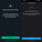WhatsApp SCHIMBAREA iPhone Android ENERVA Multa Lume parola backup