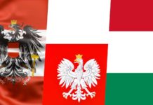 Austria: Karner si Actiunile de ULTIMA ORA cu Ungaria, Cehia, Polonia pentru Schengen, Romania Austria Karner Actiunile ULTIMA ORA Ungaria Cehia Polonia Schengen Romania