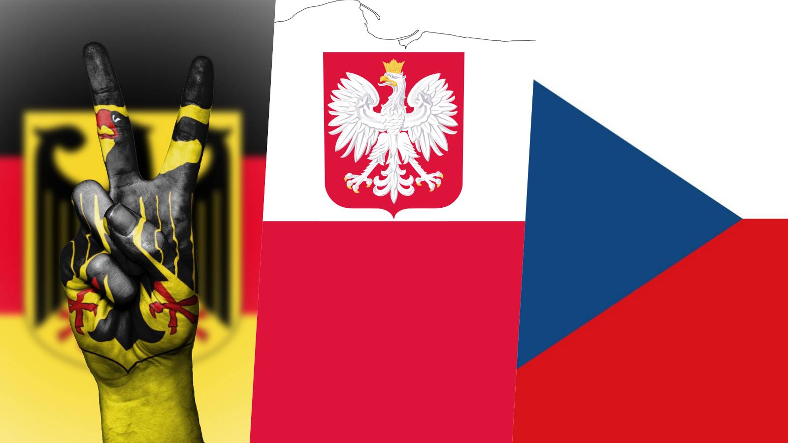 Germania Confirmari ULTIMA ORA Probleme Elvetia Polonia Afecteaza Schengen