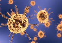 OMS Noul Semnal ALARMA Toata Lumea Coronavirus