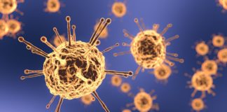 OMS Nueva señal de ALARMA a nivel mundial Coronavirus