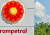Rompetrol Anuntul Benzinariile GRATUIT Romanilor Toata Tara