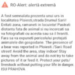 RO-ALERT Mesajul de Alerta care a Pus in Garda Romanii din Ploiesti urs