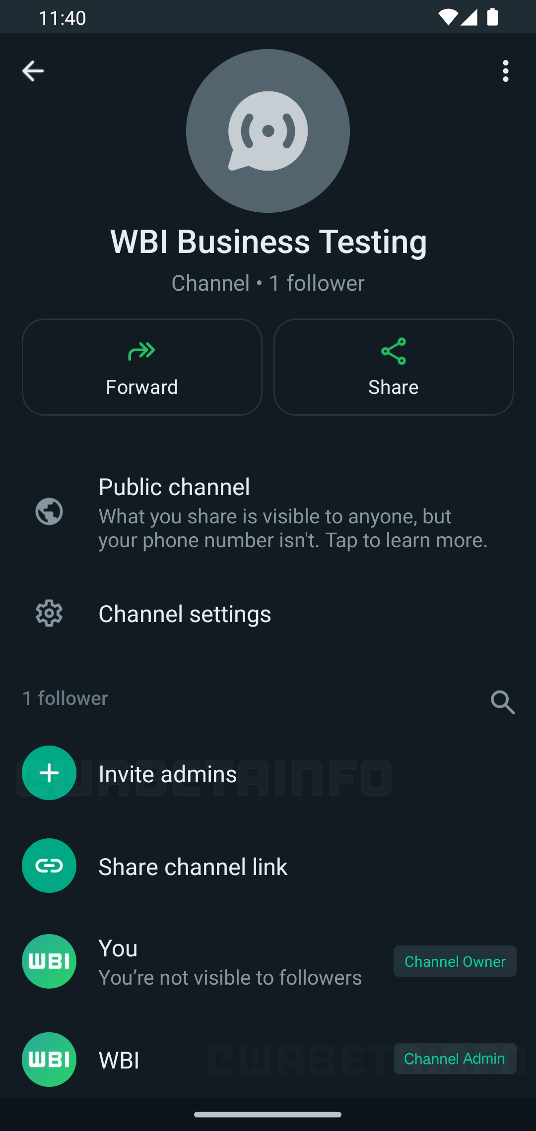 WhatsApp Lucrează 2 Noi MODIFICARI Telefoanele iPhone Android Plus Windows admin canale
