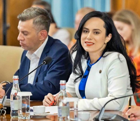 Arbetsmarknadsminister Viktiga möten Rumäniens främmande land