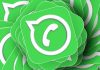 Aplicatia WhatsApp pseudonim