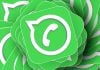 WhatsApp aplicatie informare