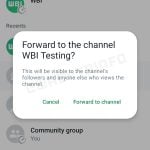 WhatsApp retrimiteri canale conversatii | iDevice WhatsApp retrimiteri canale conversatii