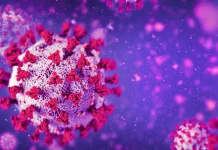 Coronavirus Romania: Noul Numar de Cazuri si Decese Anuntate de Ministerul Sanatatii – 3 Ianuarie 2024 Coronavirus Romania Noul Numar de Cazuri si Decese Anuntate de Ministerul Sanatatii - 3 Ianuarie 2024