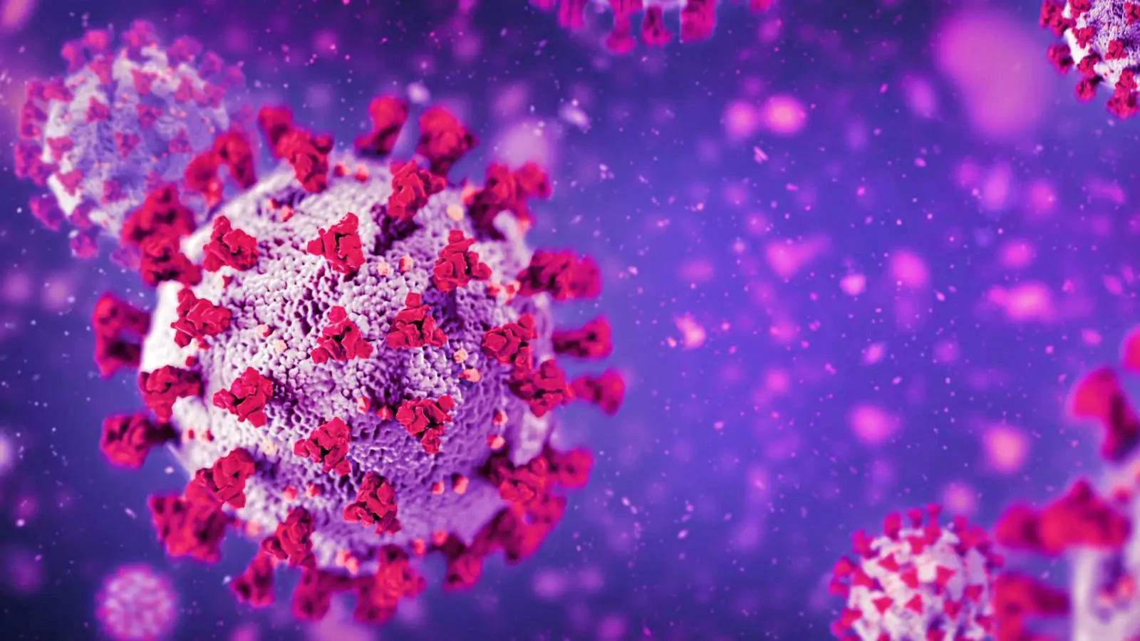 Coronavirus Romania Noul Numar de Cazuri si Decese Anuntate de Ministerul Sanatatii - 3 Ianuarie 2024
