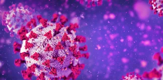 WHOs indvirkning af vacciner mod Coronavirus Europa